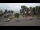 Webcam in Rewal, 18.2 km entfernt