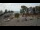 Webcam in Rewal, 50.2 km