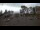 Webcam in Rewal, 18.2 km entfernt