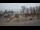 Webcam in Rewal, 27.3 mi away