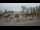Webcam in Rewal, 24.8 mi away