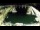 Webcam in Hel, 204.5 km