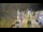 Webcam in Cucq, 15.6 km entfernt