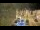 Webcam in Cucq, 85.2 km