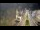 Webcam in Cucq, 25.5 km entfernt