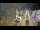 Webcam in Cucq, 9.8 mi away