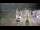 Webcam in Cucq, 6.6 km entfernt