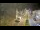 Webcam in Cucq, 25.5 km