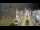 Webcam in Cucq, 10.4 km entfernt