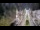 Webcam in Cucq, 15.6 km