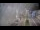 Webcam in Cucq, 4.5 km entfernt