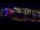 Webcam in Ginerva, 6.9 km