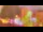 Webcam in Perpignan, 0.2 mi away