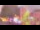 Webcam in Perpignan, 11 mi away