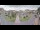Webcam in Cucq, 0 km entfernt