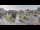 Webcam in Cucq, 16.5 km