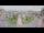 Webcam in Cucq, 2.2 mi away