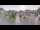 Webcam in Cucq, 0 km entfernt