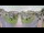 Webcam in Cucq, 9.4 km