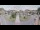 Webcam in Cucq, 15.6 km