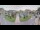 Webcam in Cucq, 9.4 km