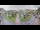Webcam in Cucq, 2.5 mi away