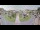 Webcam in Cucq, 0 km entfernt