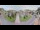 Webcam in Cucq, 0 mi away
