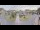 Webcam in Cucq, 1.7 mi away
