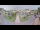 Webcam in Cucq, 4.5 km