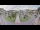 Webcam in Cucq, 84.5 km