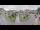 Webcam in Cucq, 6.6 km