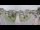 Webcam in Cucq, 5.3 km entfernt