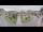 Webcam in Cucq, 4.5 km