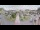 Webcam in Cucq, 29.5 km