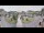 Webcam in Cucq, 15.6 km