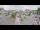 Webcam in Cucq, 29.5 km