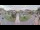 Webcam in Cucq, 15.6 km