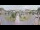 Webcam in Cucq, 34.3 km