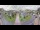 Webcam in Cucq, 3.4 mi away