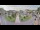 Webcam in Cucq, 5 km