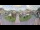 Webcam in Cucq, 5.6 km