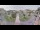 Webcam in Cucq, 0 km entfernt
