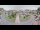 Webcam in Cucq, 15.6 km entfernt
