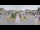 Webcam in Cucq, 9.4 km entfernt