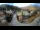 Webcam in Reichraming, 16.9 km