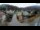 Webcam in Reichraming, 27 km entfernt