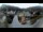 Webcam in Reichraming, 6.5 mi away