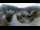 Webcam in Reichraming, 22.6 km entfernt