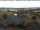Webcam in Rickenbach (Hotzenwald), 8.1 mi away